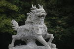 麒麟