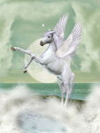 梦幻世界天马