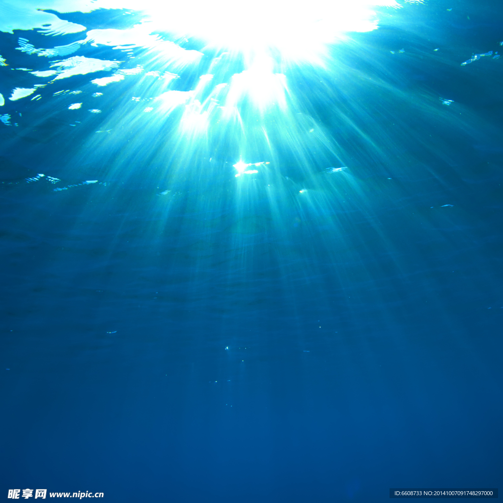水下摄影