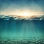 海底世界