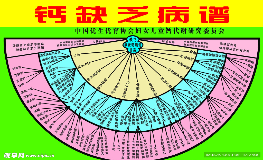 钙缺乏病谱