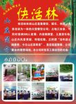 快活林山庄
