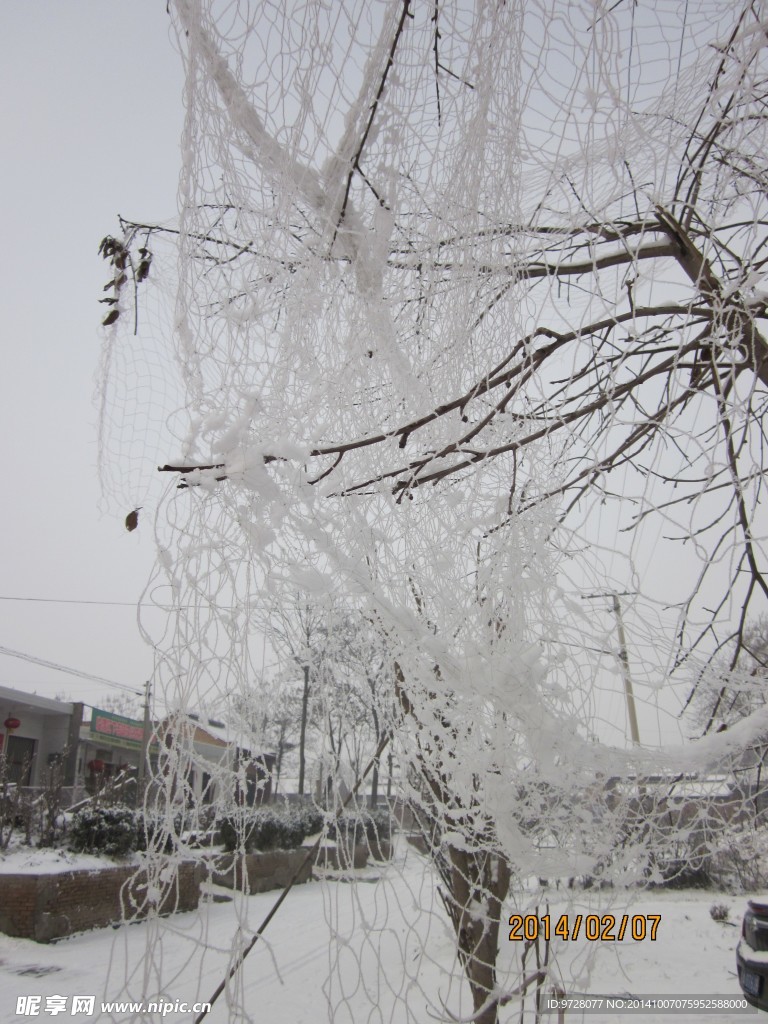 雪景