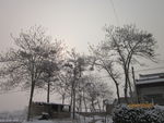 雪景