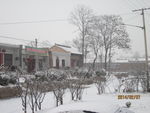 雪景