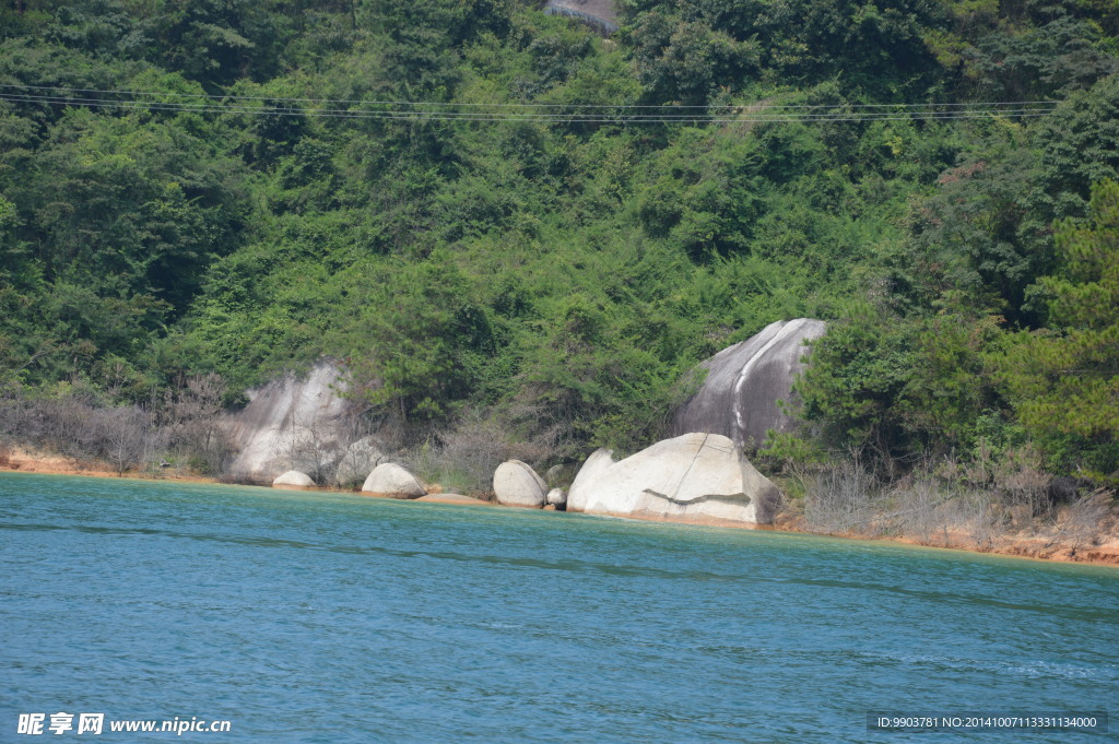 万绿湖 景观