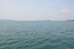 万绿湖 景观
