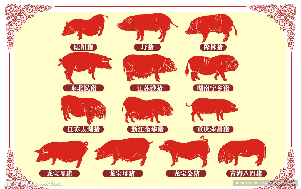 中国地方猪矢量图