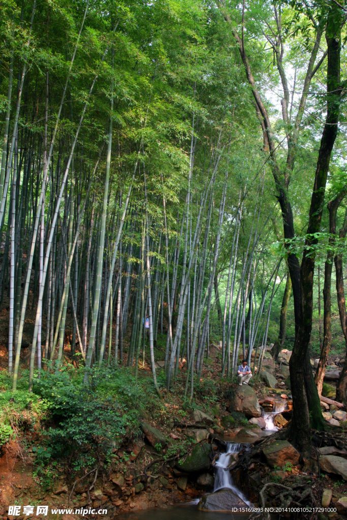 灵山景点