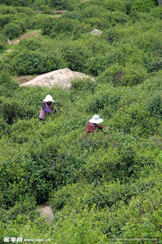 自然风景