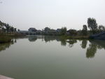 湖水风景