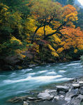 山间流水风景