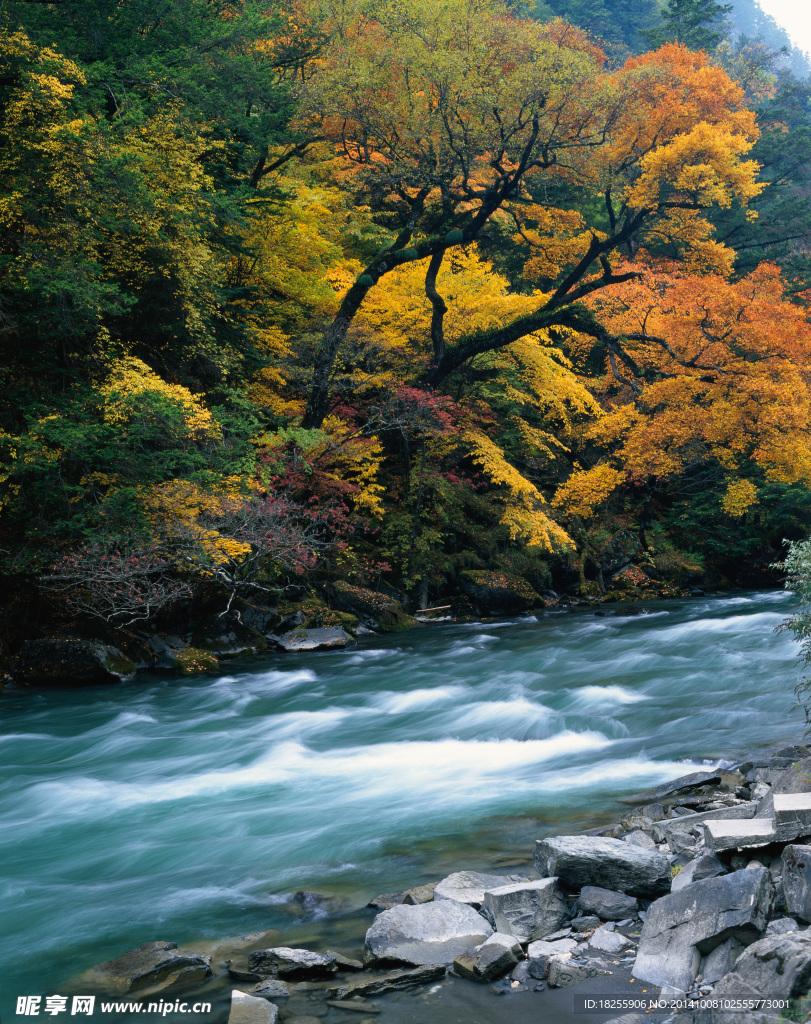 山间流水风景