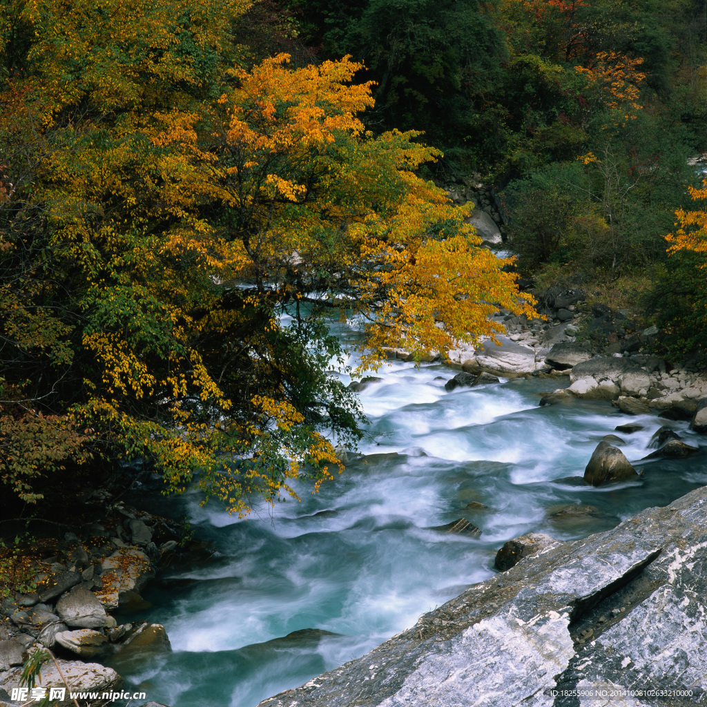 山间河流