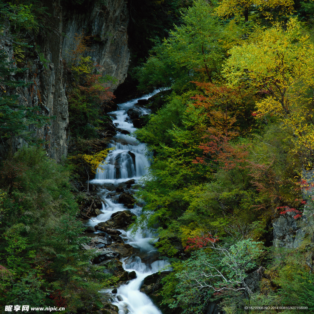 山间小溪