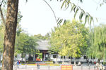园中湖