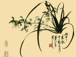 兰花