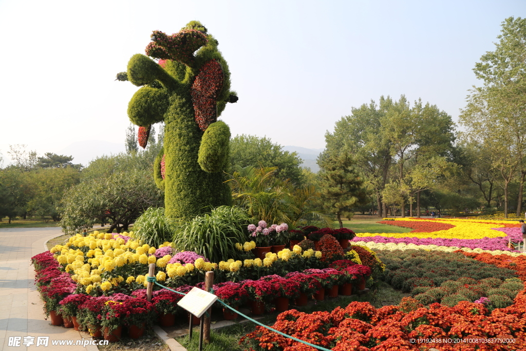 花坛