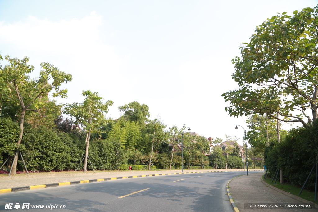 马路