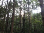 白云山