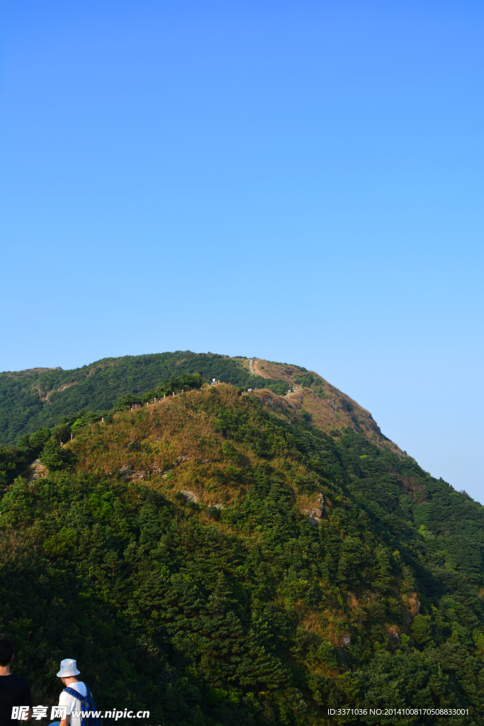 山