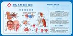 耳鼻喉科解剖图