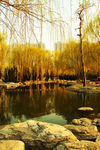 北京国际雕塑公园风景