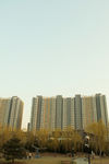 雕塑公园风景摄影