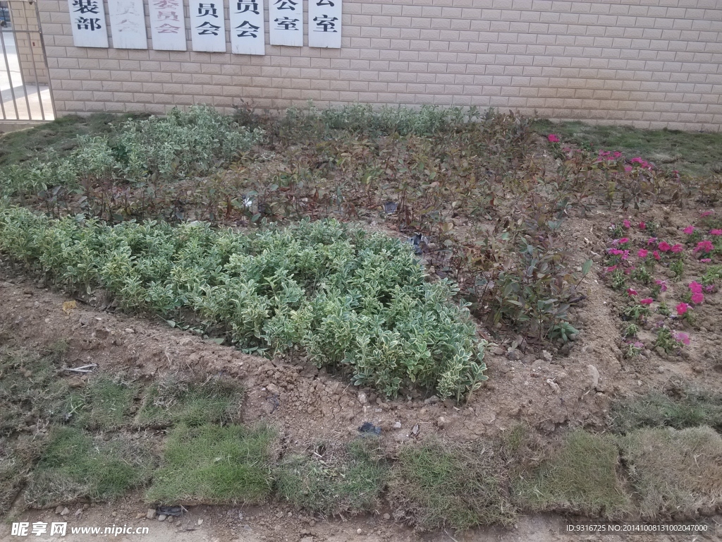 新沂