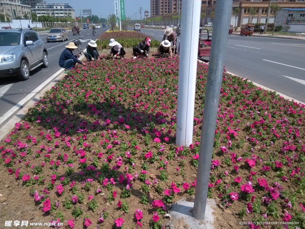 新沂