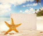 沙滩海星空白卡片图片
