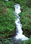 小溪流