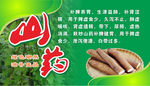 山药宣传广告