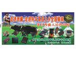 走进西藏