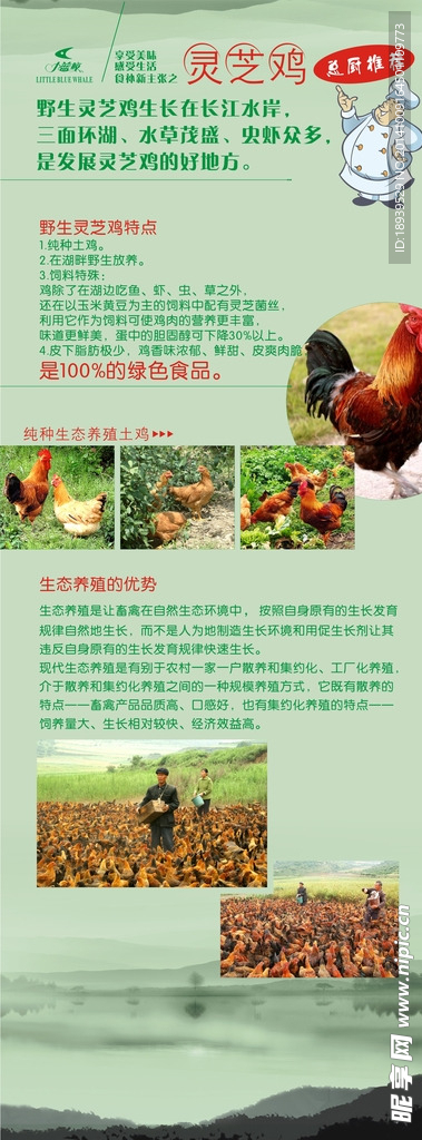 餐厅展架