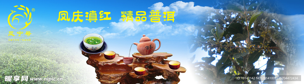 凤宁普洱茶