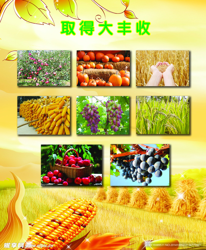 大丰收