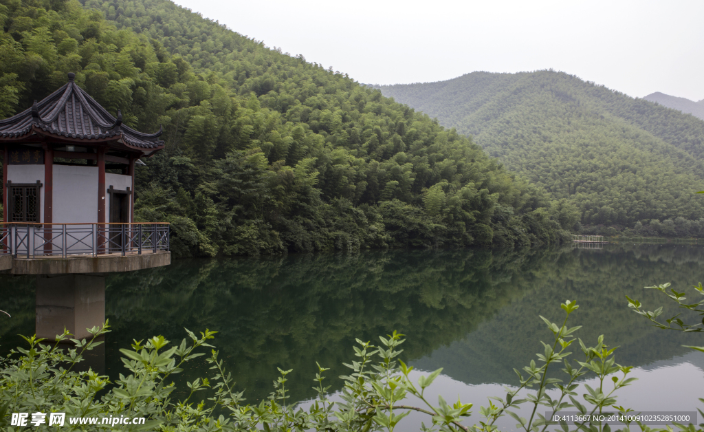 南山竹海风景