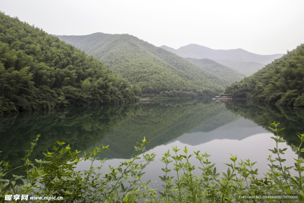 南山竹海风景