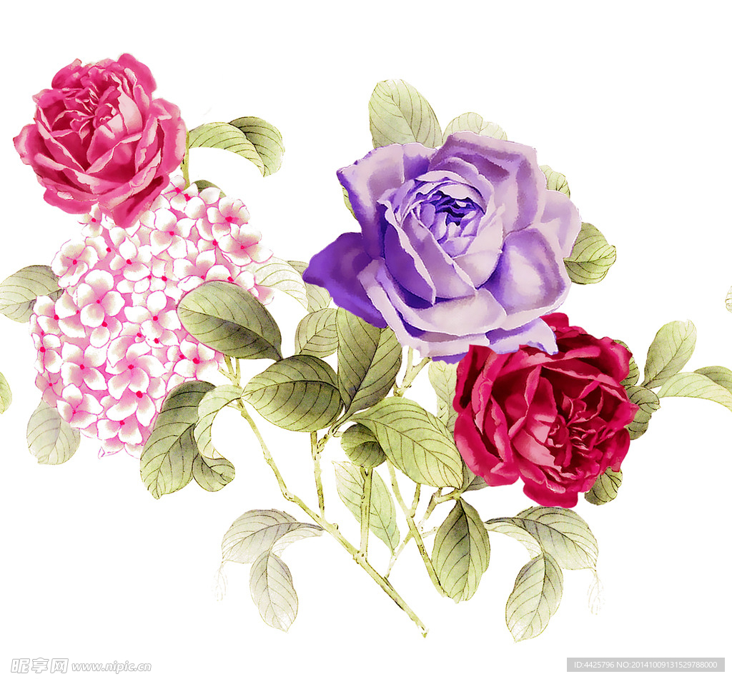 高清手绘写实印花画稿