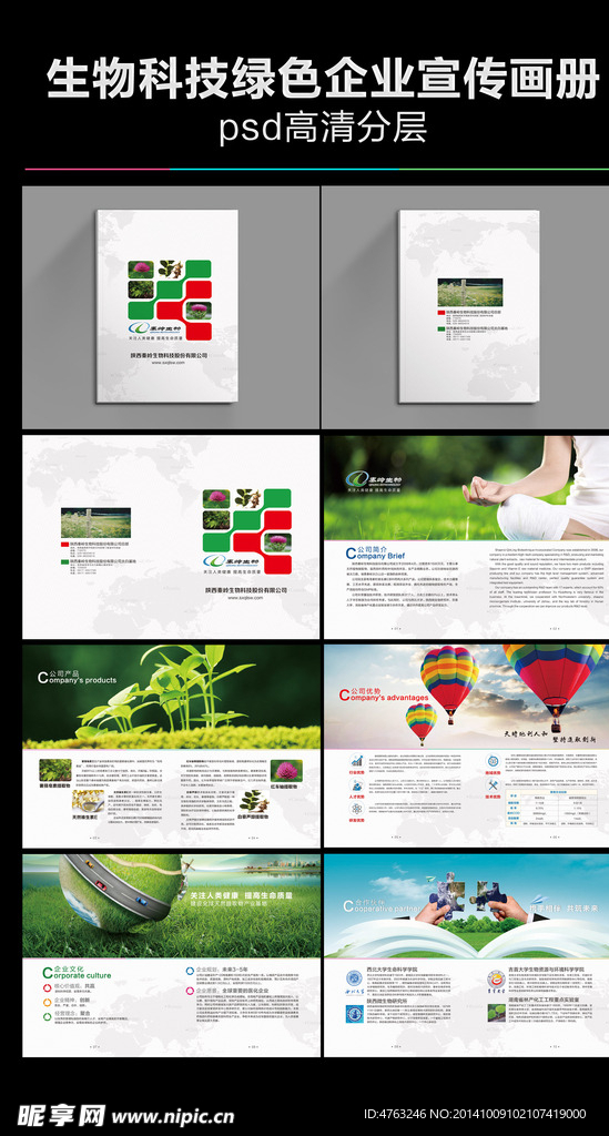生物科技绿色宣传画册