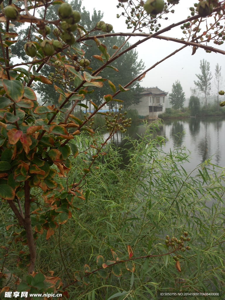 湖景别墅