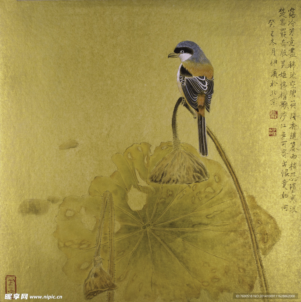 中国画工笔花鸟画