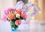 鲜花