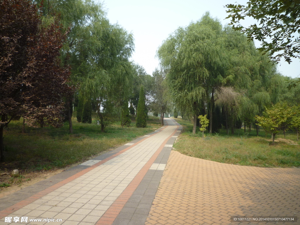 林间小路