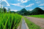 田园风光