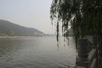 伊河