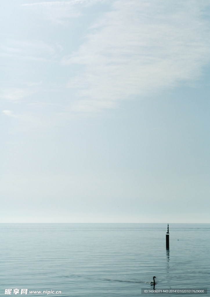 海洋