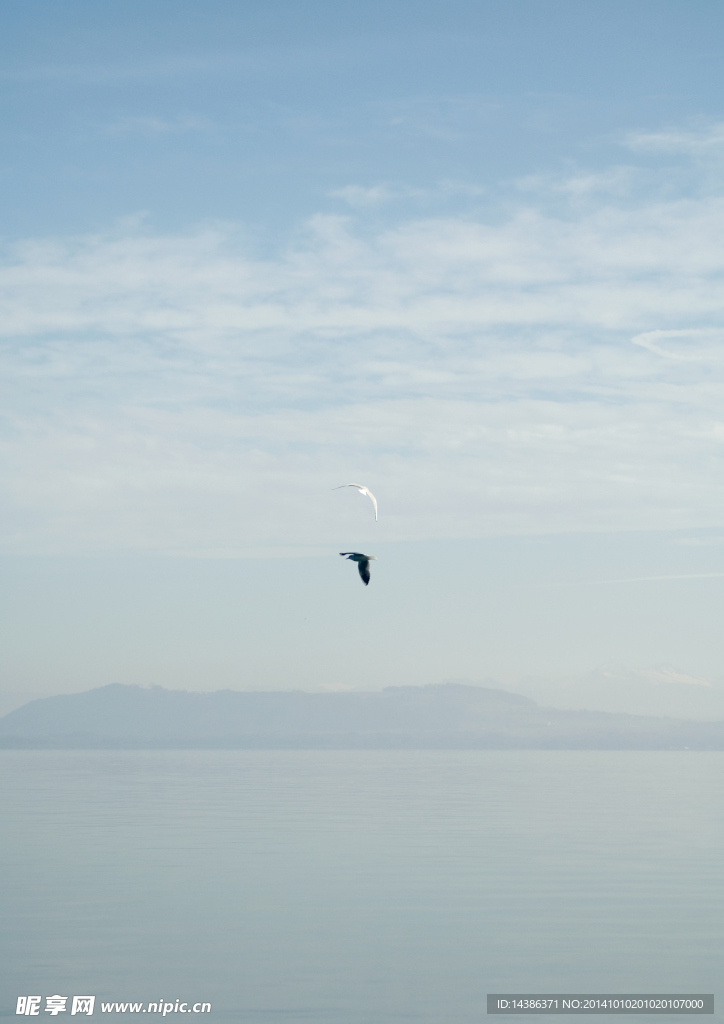 海洋