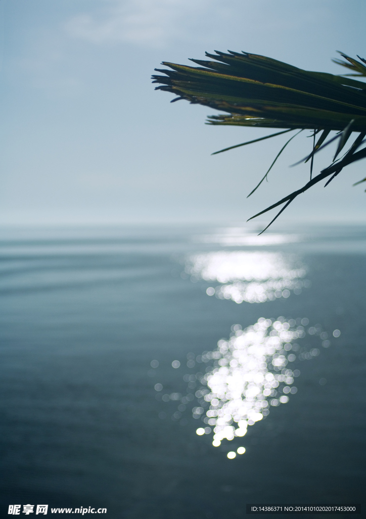 海洋